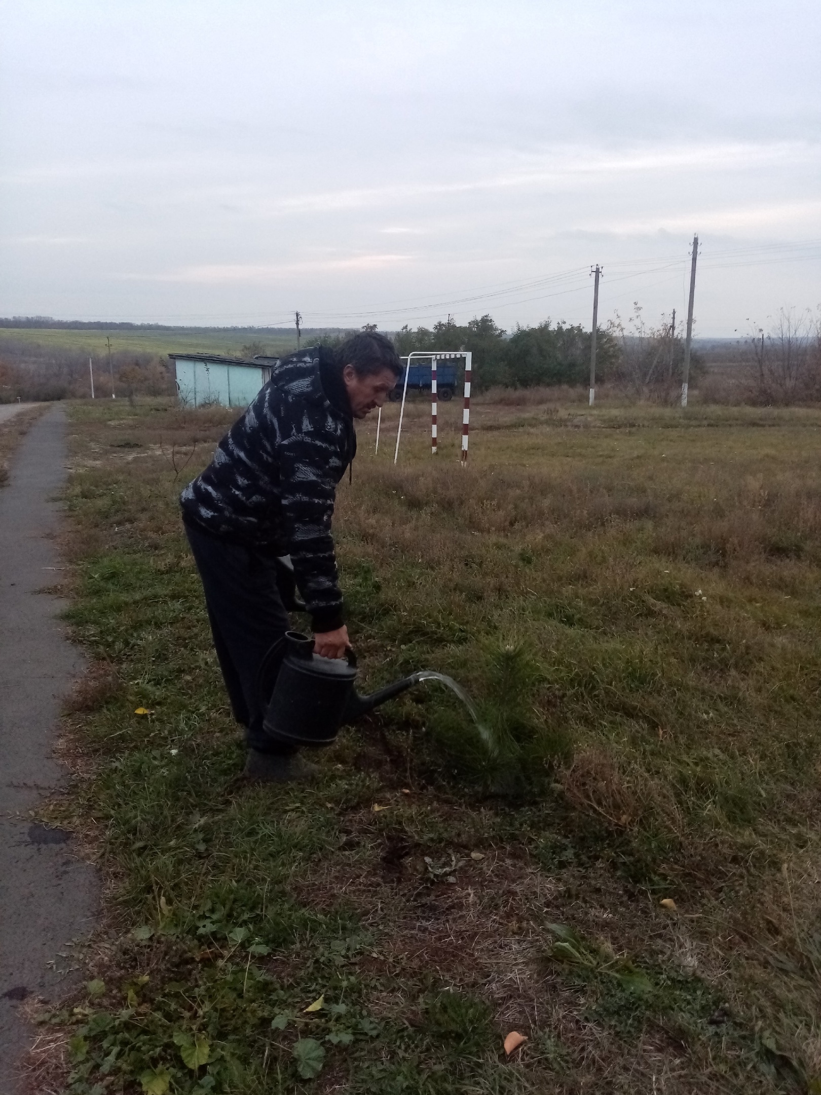 Озеленение территории продолжается.