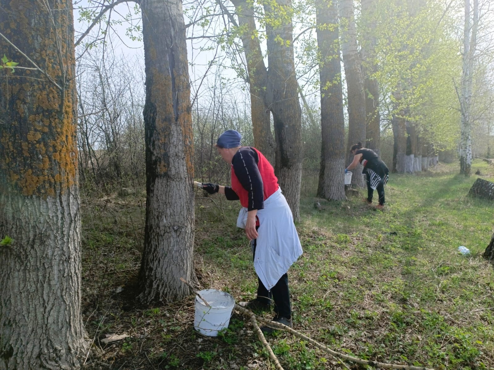 Благоустройство лесопосадки.